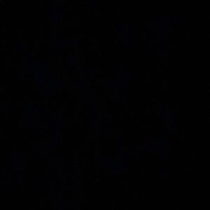 Meet your Posher, Yasmin